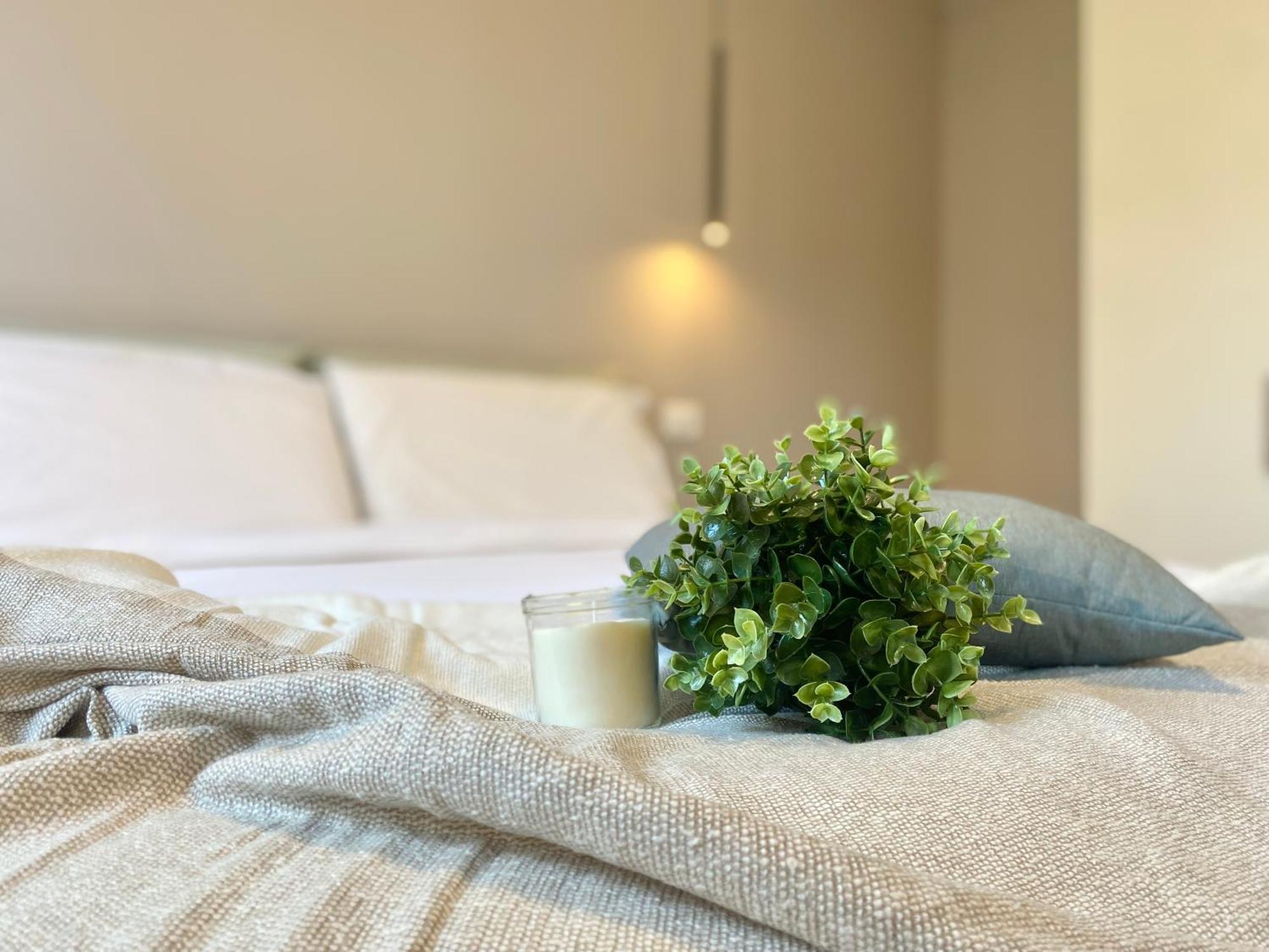 Casaviva - Apartment In The Historic Center - Land Genova Esterno foto